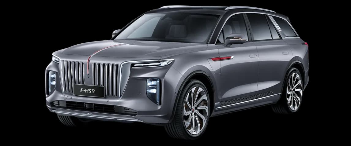 Hongqi Ousado – photo 5